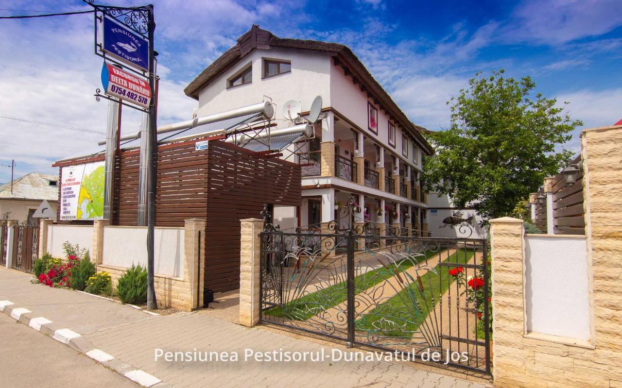 Pensiunea Pestisorul Dunavăţu de Jos Exterior foto