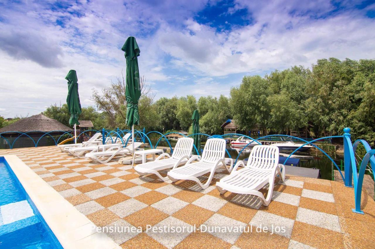 Pensiunea Pestisorul Dunavăţu de Jos Exterior foto
