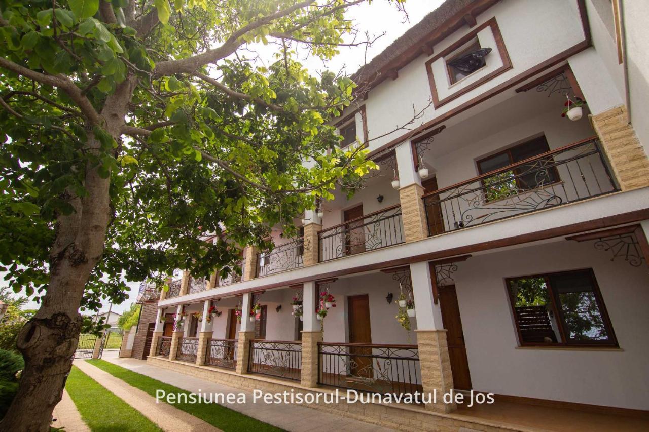 Pensiunea Pestisorul Dunavăţu de Jos Exterior foto