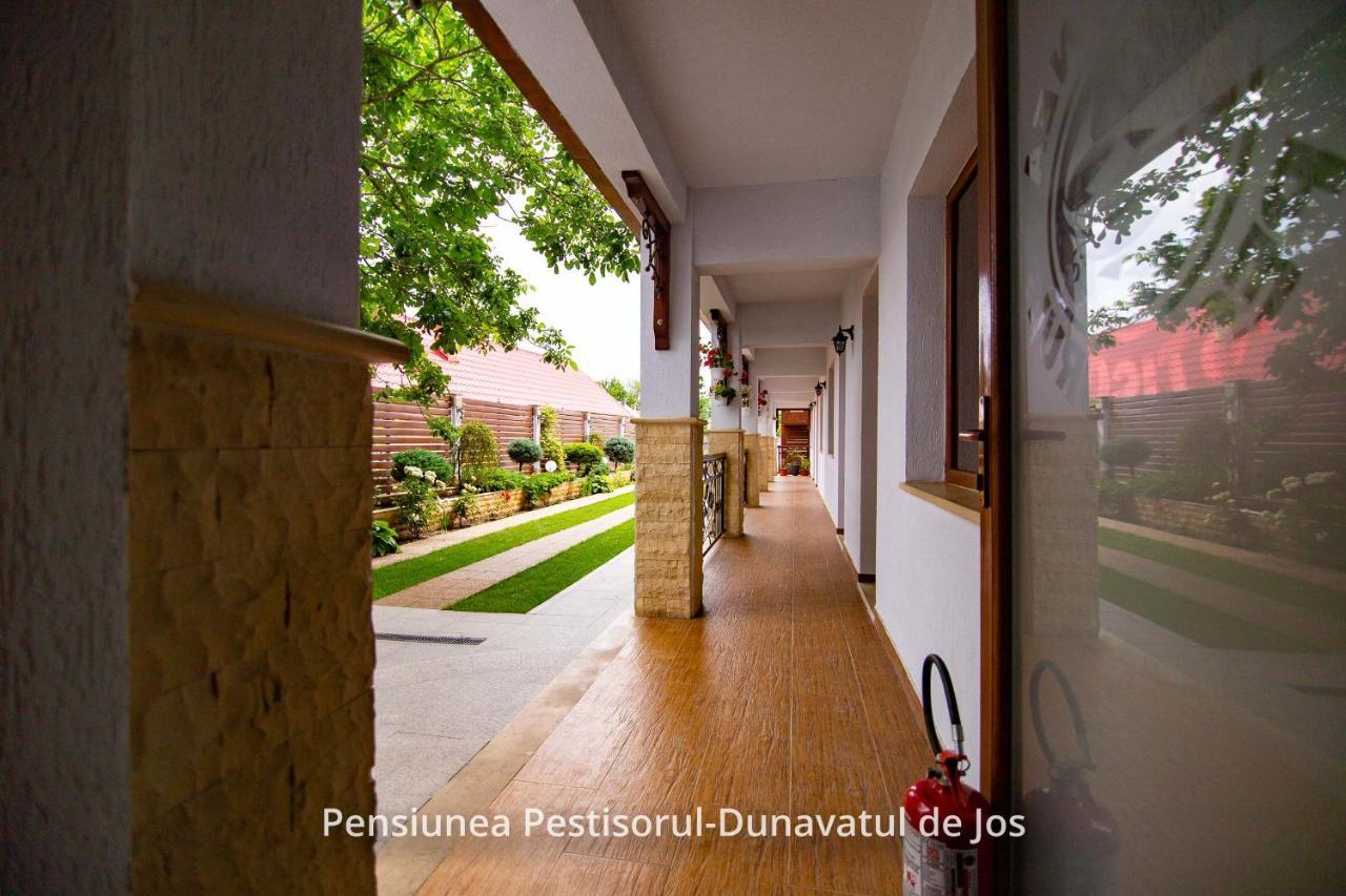 Pensiunea Pestisorul Dunavăţu de Jos Exterior foto
